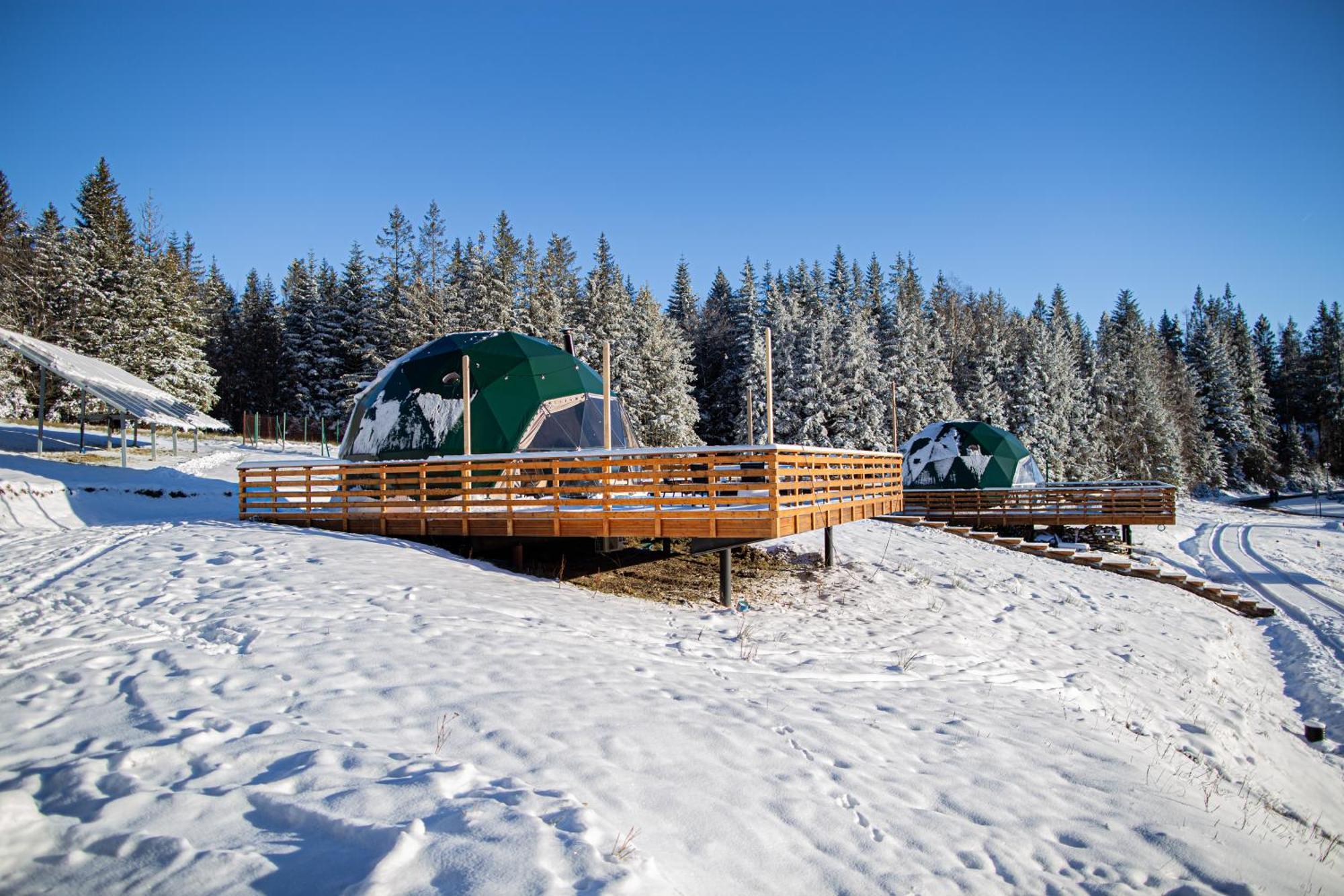 Bunny Glamp Korbielow