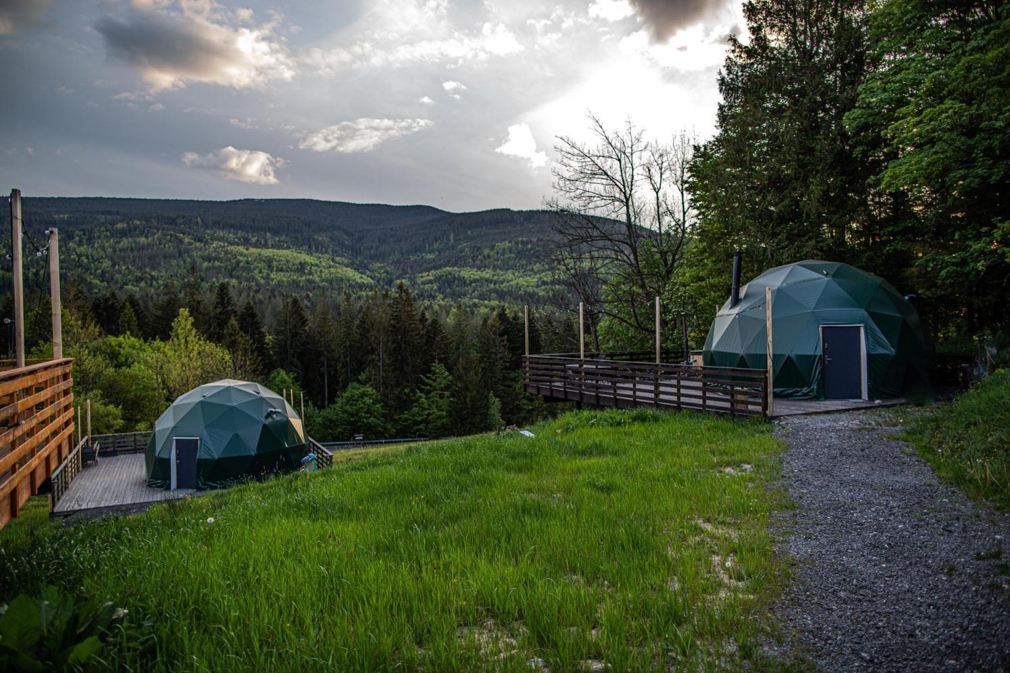 Bunny Glamp *