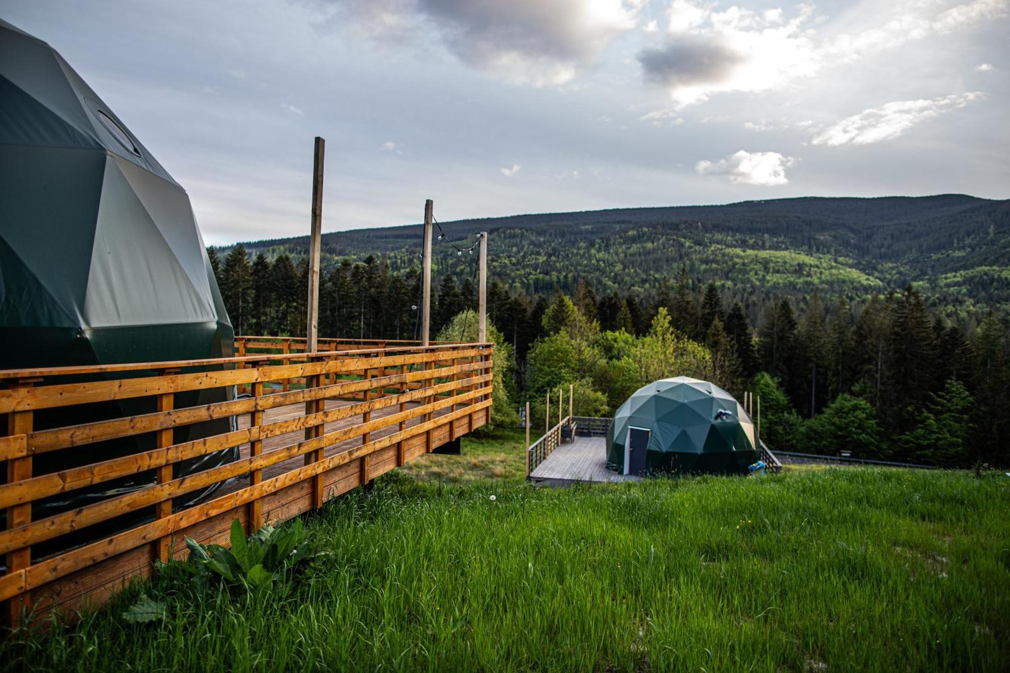 Bunny Glamp Korbielow